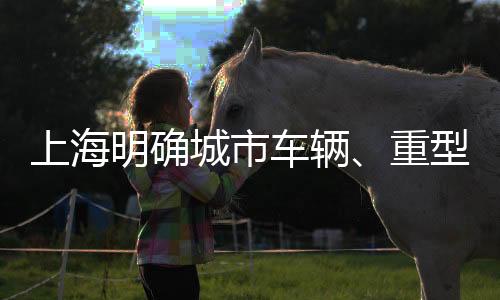 上海明确城市车辆、重型燃气车辆第六阶段排放标准！